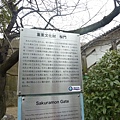 P1010109