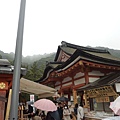 P1010225