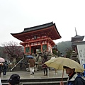 P1010248