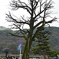 P1010257