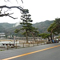 P1010258