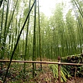 P1010275