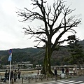 P1010325