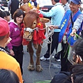 20120401_092618