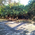 20120430_173004