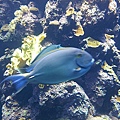 20120610_123853