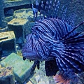 20120610_125133