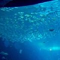 20120610_125421