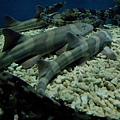 20120610_132609