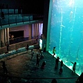 20120610_152503