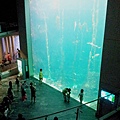 20120610_152454