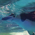 20120610_154539