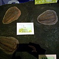 20120722_111554