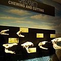 20120722_112303