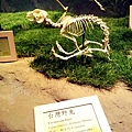 20120722_112406