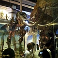 20120722_112420
