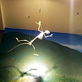 20120722_112440