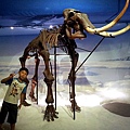 20120722_112508