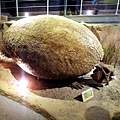 20120722_112707
