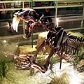 20120722_112731