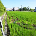20120812_080252