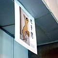 P8100037