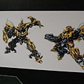 DSCN0521.JPG