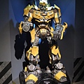DSCN0525.JPG