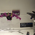 DSCN0529.JPG