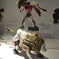 DSCN0534.JPG