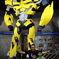 DSCN0542.JPG