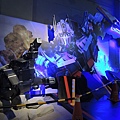 DSCN0560.JPG
