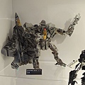 DSCN0582.JPG