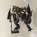 DSCN0588.JPG
