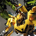 DSCN0590.JPG