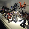 DSCN0592.JPG