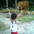 20070820102546632.jpg
