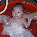 20070407084350578.jpg