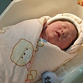 F23_20101201103427301.jpg