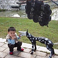 20070120104754494.jpg
