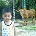 20070820102547838.jpg