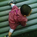 20070907102804404.jpg