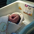F23_20101201103429650.jpg