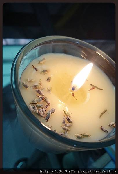 天然防蚊蠟燭DIY