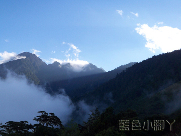 雲海