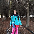 IMG_20200112_104454.jpg