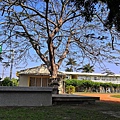 IMG_20200202_105046.jpg