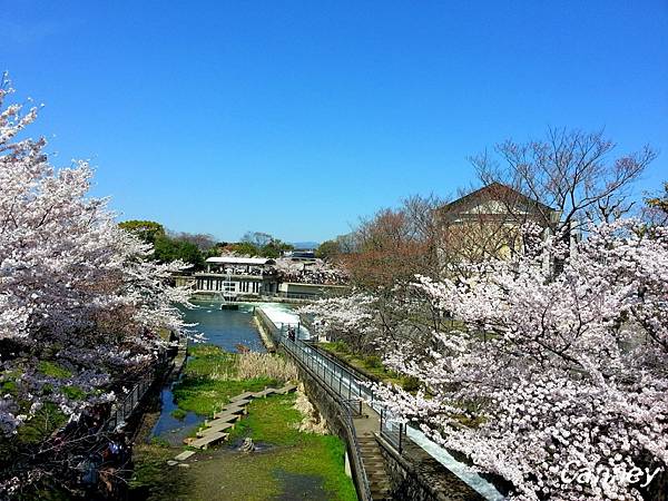 20150402琵琶湖疏水道.jpg