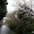 20150403_070416.jpg