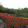 20160404_073858.jpg